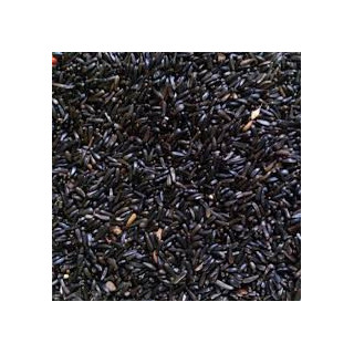 GRAINE DE NIGER