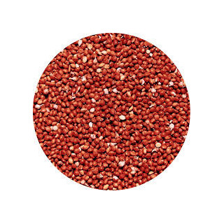 GRAINES DE MILLET ROUGE
